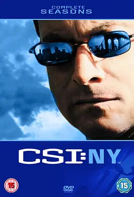 犯罪现场调查：纽约 第六季第23集(大结局)