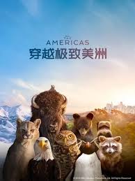 穿越极致美洲国语